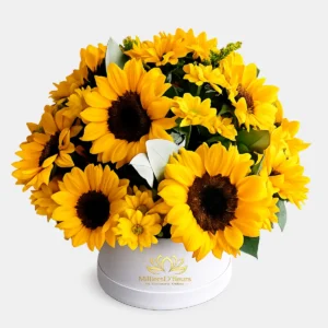 Arreglo floral de girasoles grandes y margaritas amarillas en box blanco para envío a domicilio en Guayaquil.