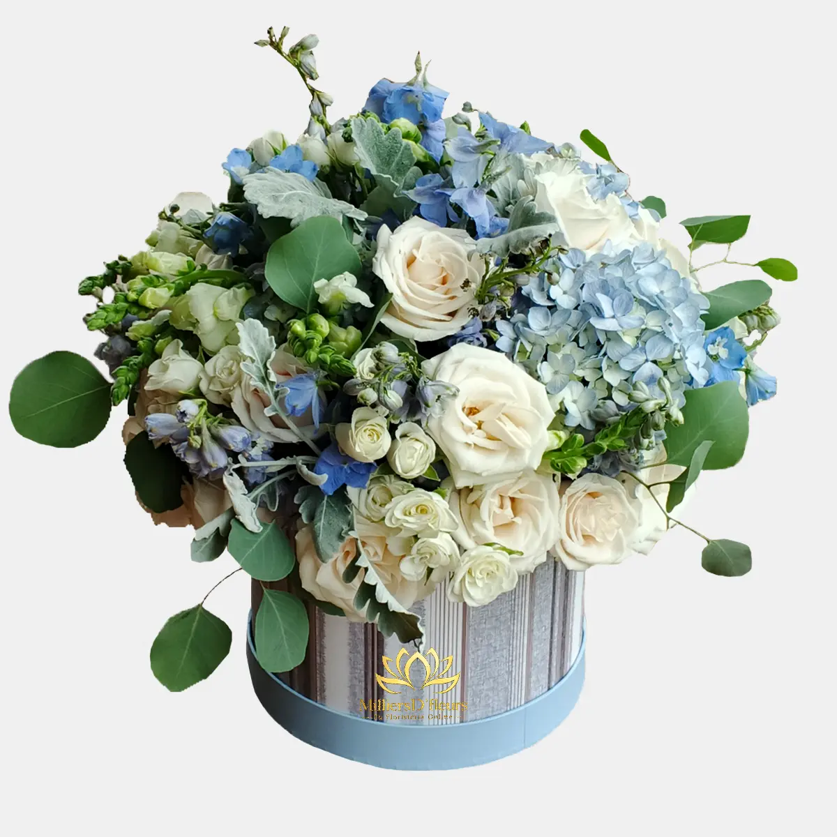 Arreglo floral de rosas blancas y hortensias azules en box redondo para regalo a domicilio en Guayaquil.