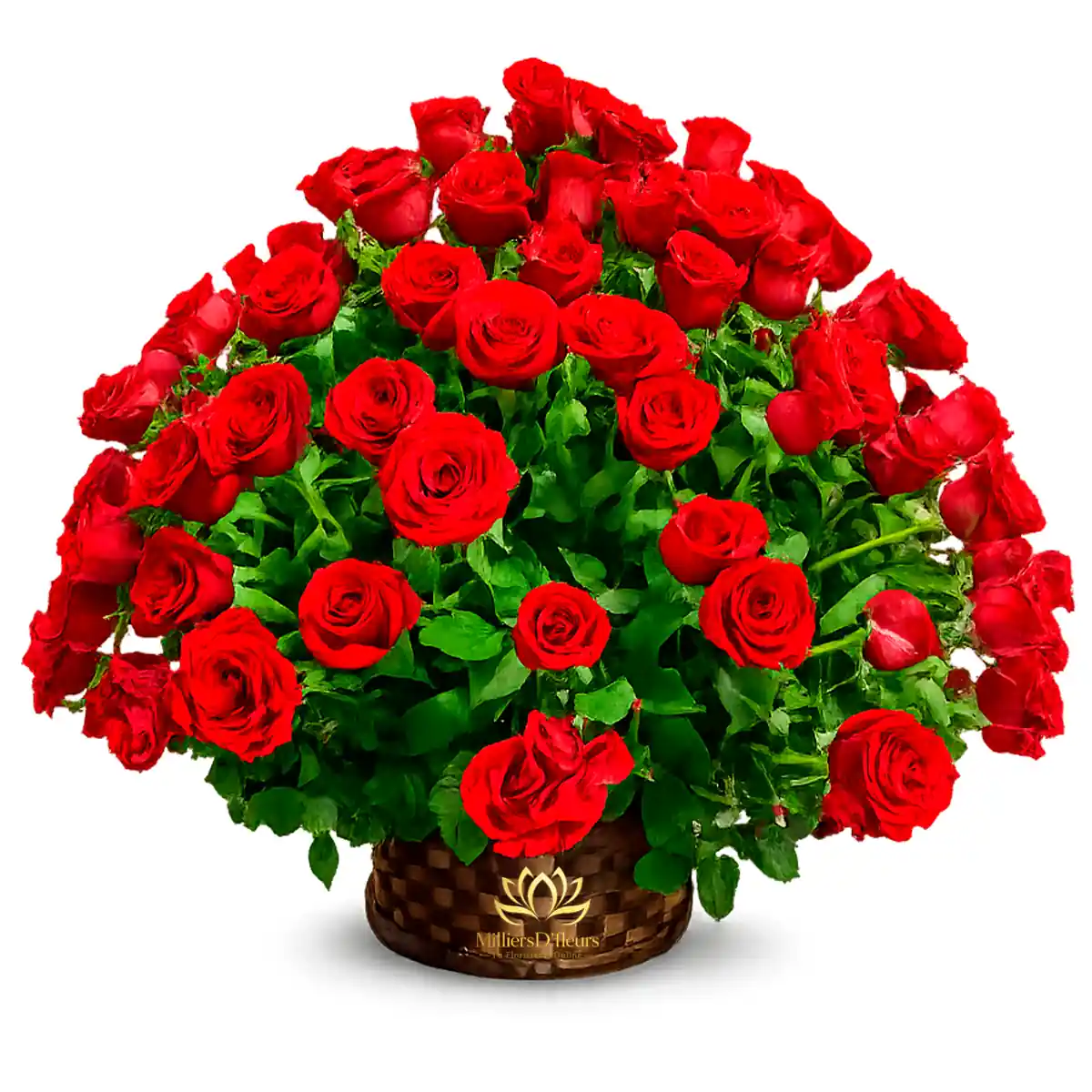 Arreglo de 100 rosas rojas premium en cesta de mimbre con servicio a domicilio en Guayaquil.